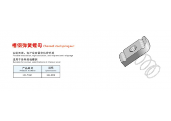 槽钢弹簧螺母